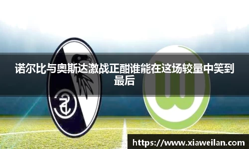 NG体育官网