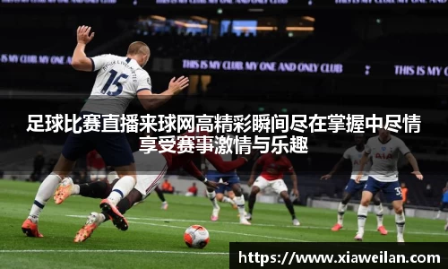 NG体育下载