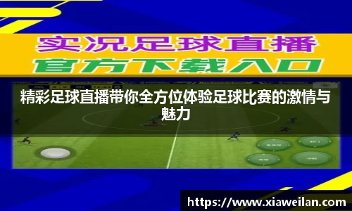 NG体育下载