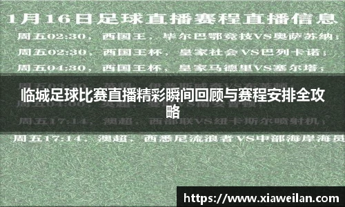 NG体育下载