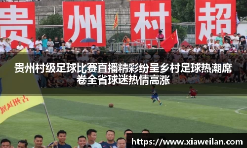 NG体育下载