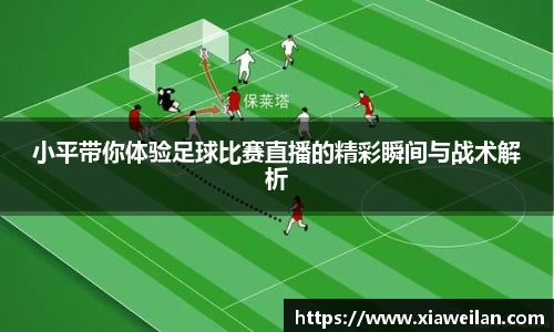 NG体育下载