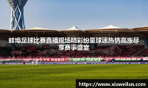 NG体育下载
