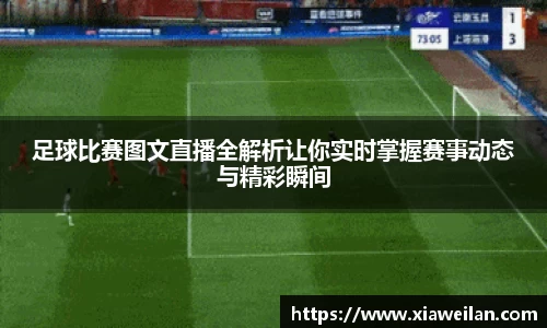NG体育下载