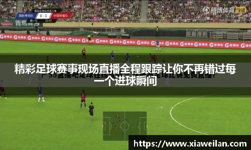 NG体育下载