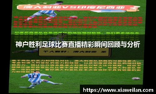 NG体育官网