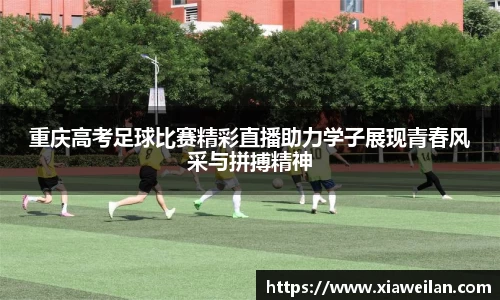 NG体育下载