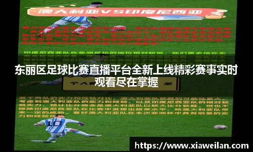 NG体育官网