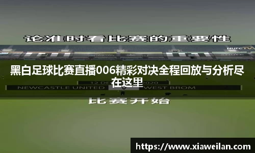 NG体育APP