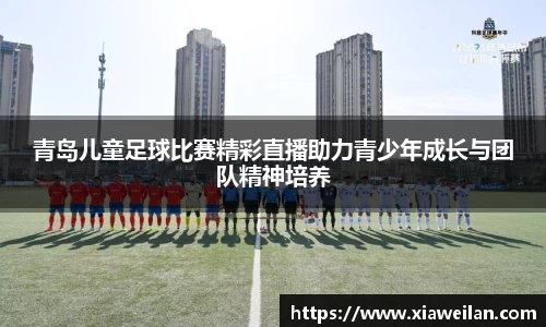 NG体育下载