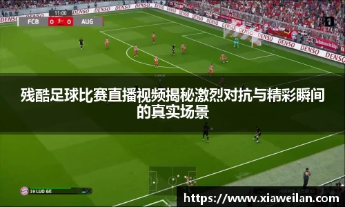 NG体育网址