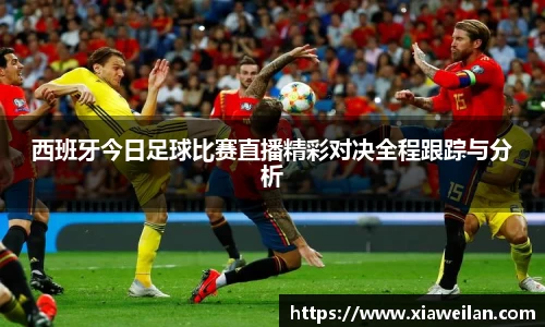 NG体育下载