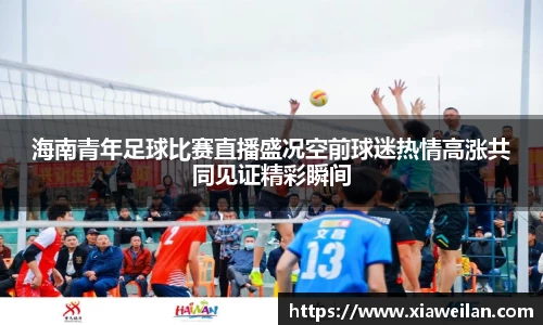 NG体育网址