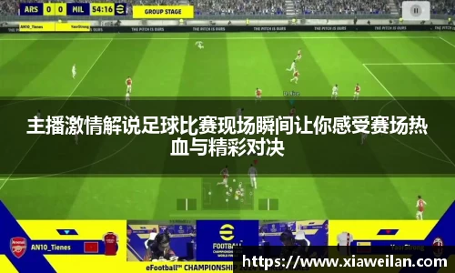 NG体育官网