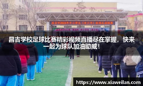 NG体育下载