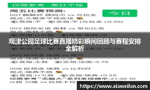 NG体育官网