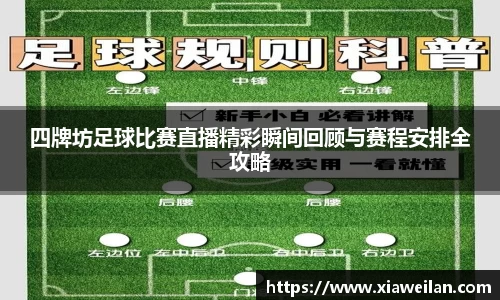 NG体育下载