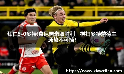 NG体育官网