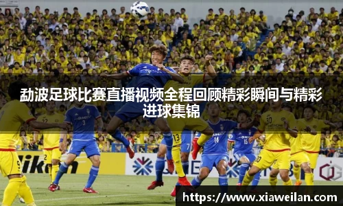 NG体育下载