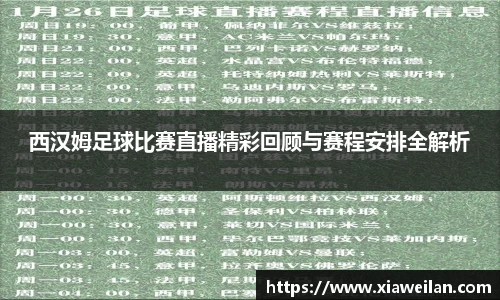 NG体育网址