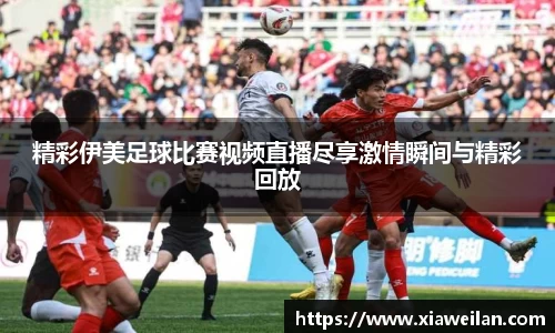 NG体育下载