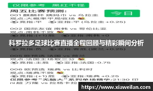 NG体育官网