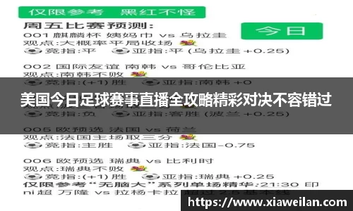NG体育下载