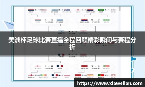 NG体育网址