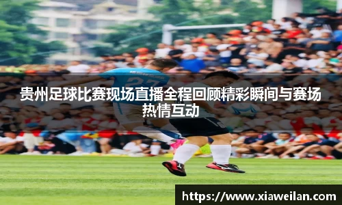 NG体育下载