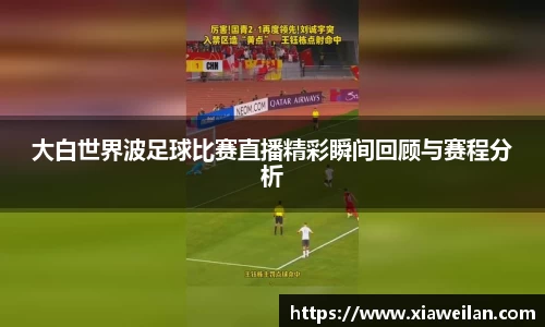 NG体育网址