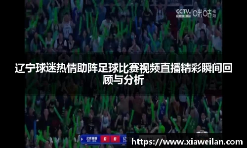 NG体育APP