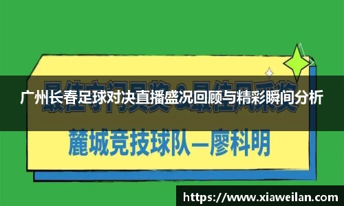 NG体育官网