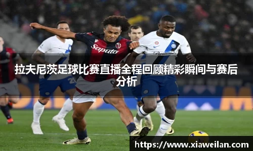 NG体育下载