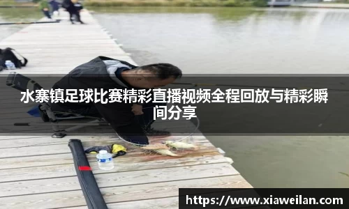 NG体育下载
