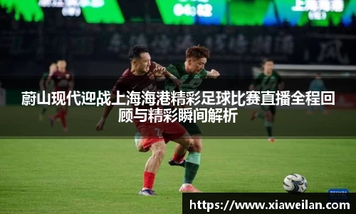 NG体育官网