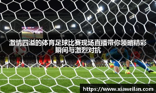 NG体育下载