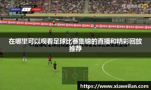 NG体育官网