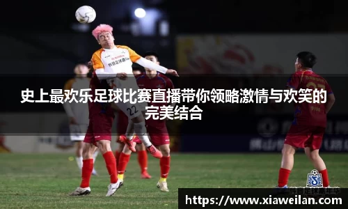NG体育下载