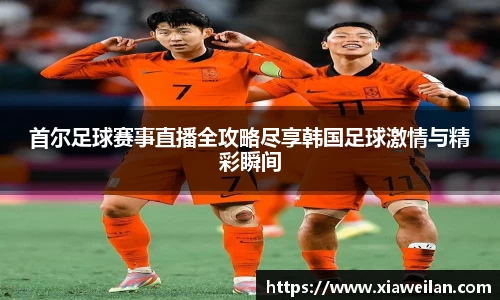 NG体育下载