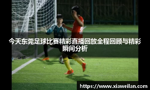 NG体育官网