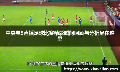 NG体育网址