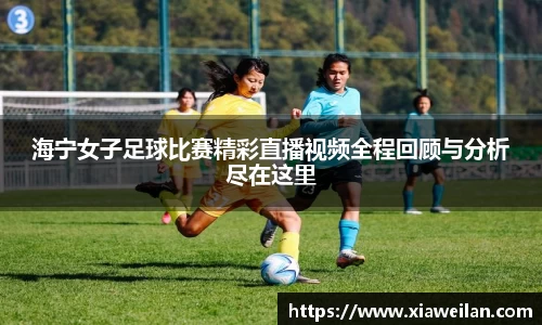 NG体育网址