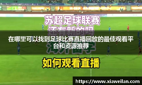 NG体育官网