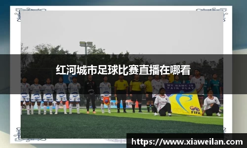 NG体育网址