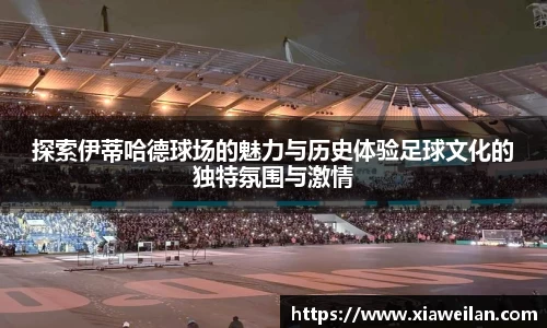 NG体育网址