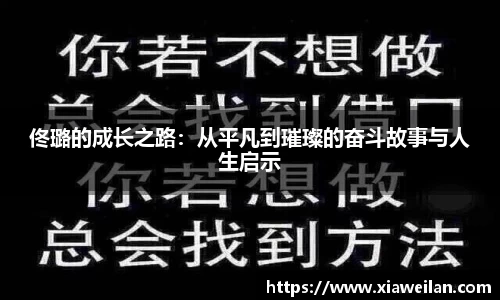 NG体育下载