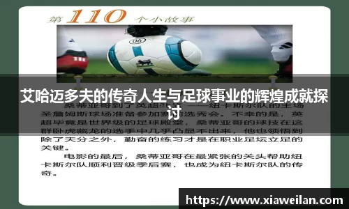 NG体育下载