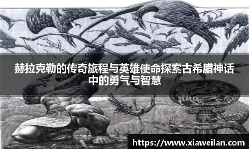 NG体育网址