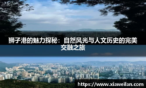 NG体育下载