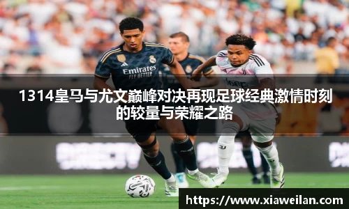NG体育官网